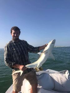 Florida Shark Fishing in Tampa Bay